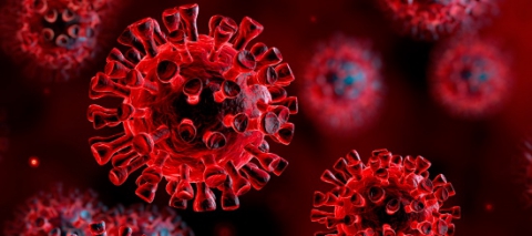 Ricerca, isolato e sequenziato il genoma di due virus Sars-Cov-2